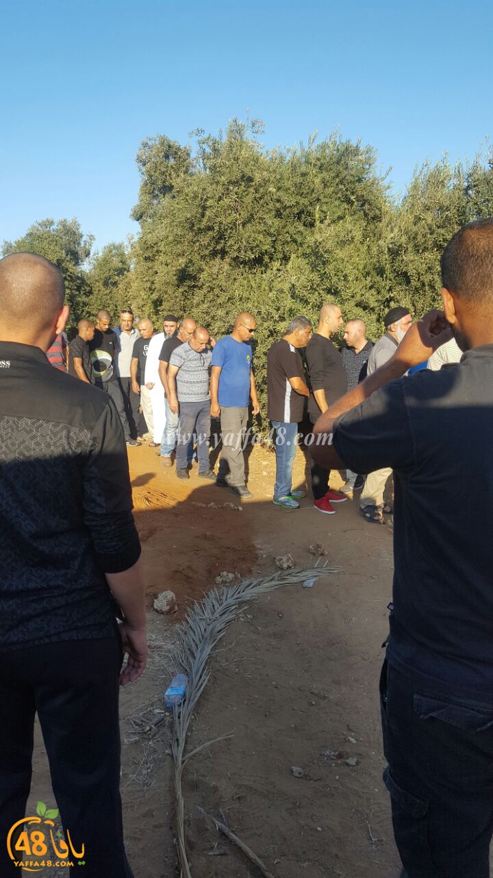 howida ajanaza (7).jpg